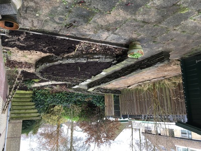 Vergroening tuin 16